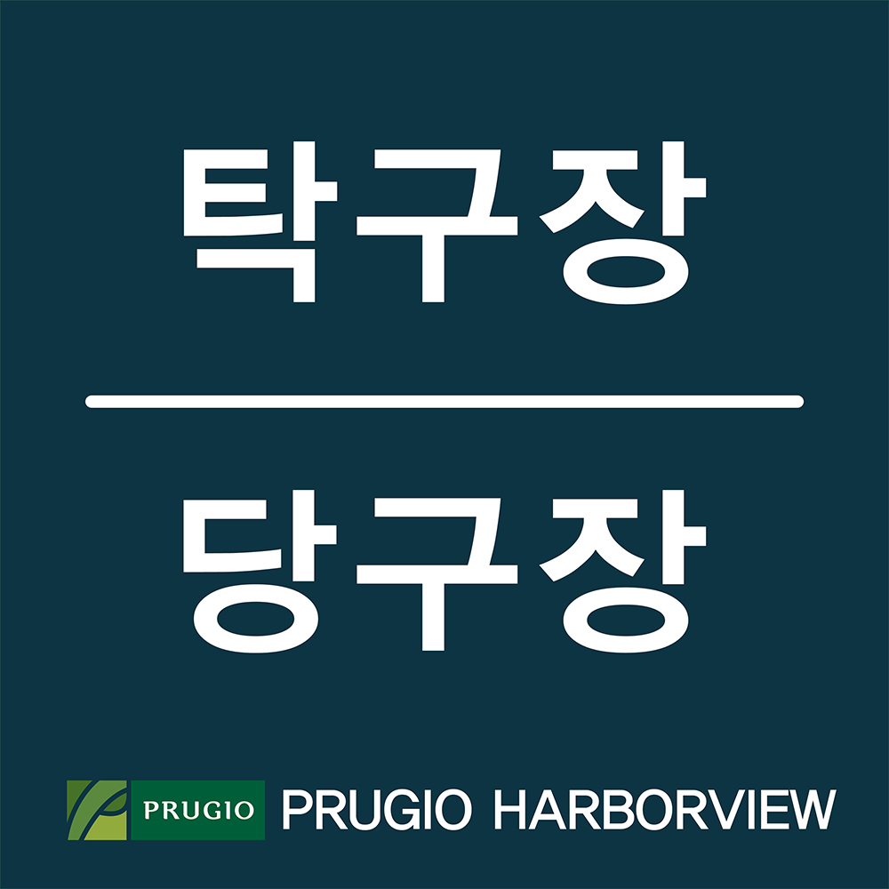 디자인선택