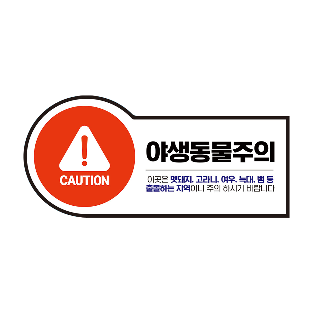 디자인선택