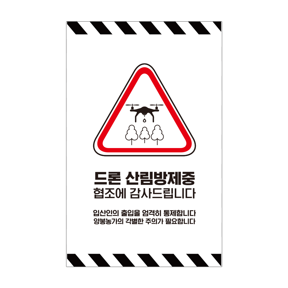 디자인선택