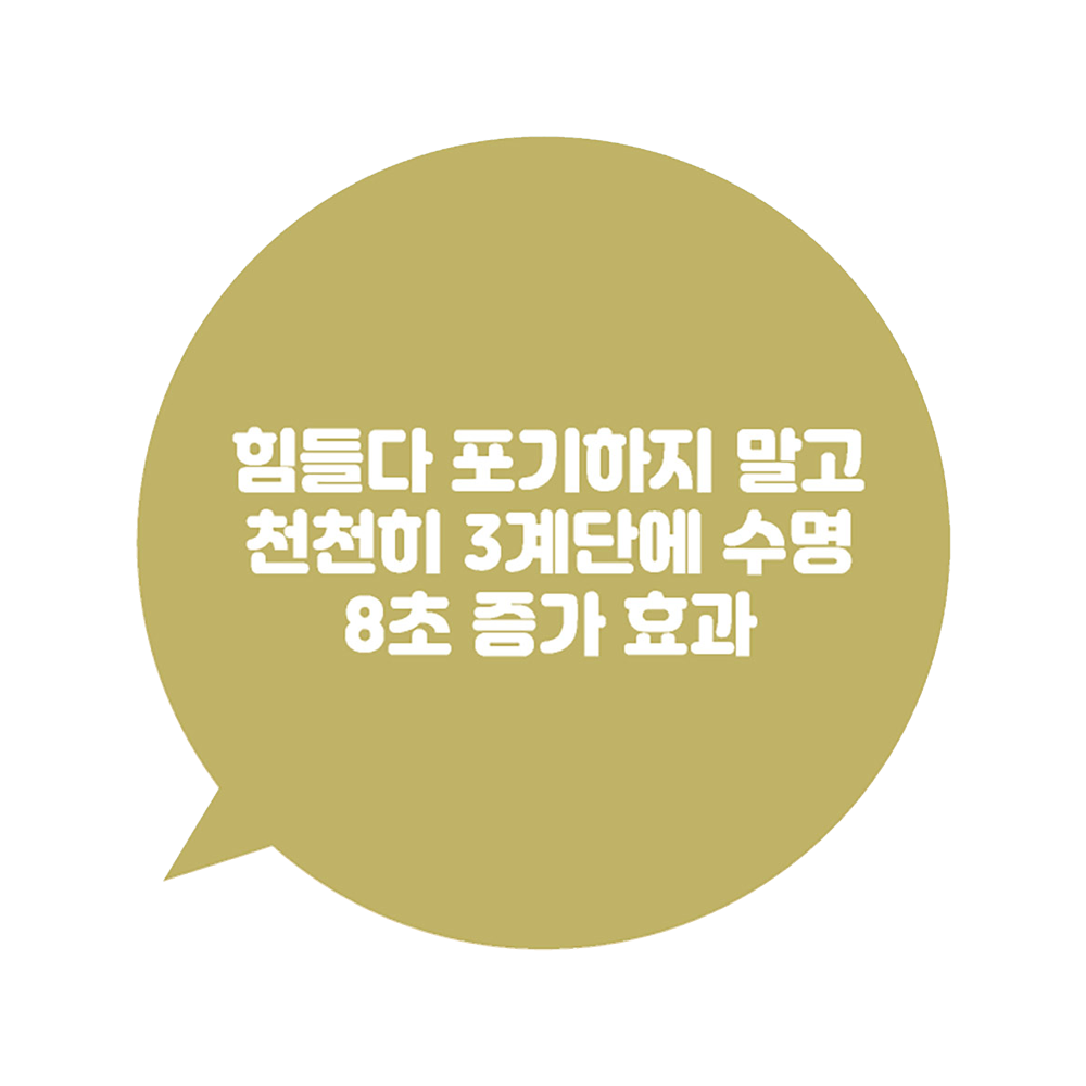 디자인선택