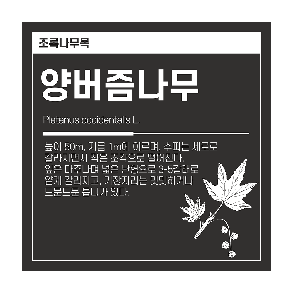 디자인선택