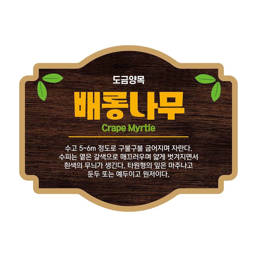 디자인선택
