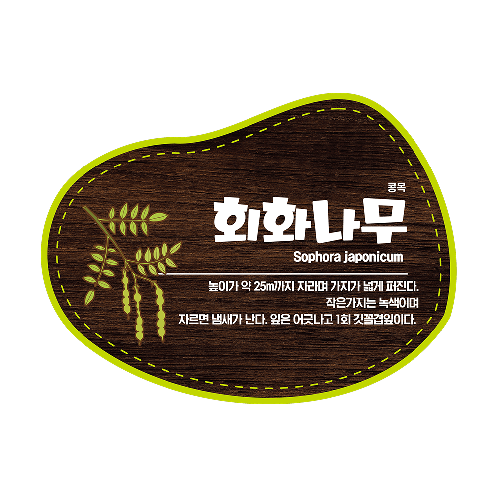 디자인선택