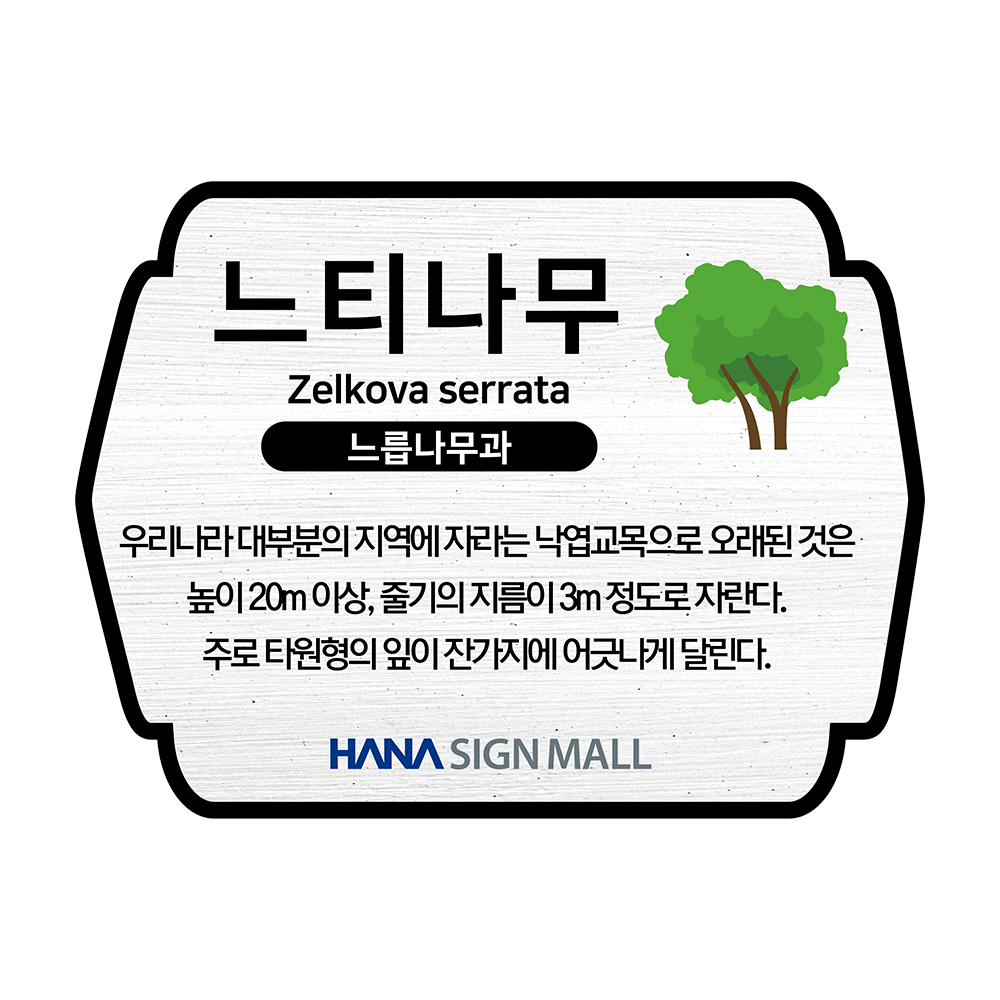 디자인선택
