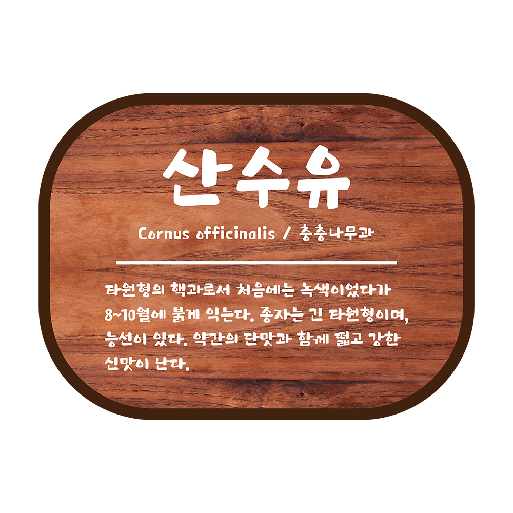 디자인선택