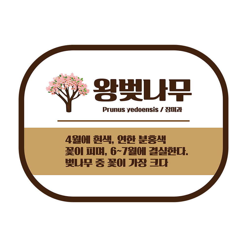 디자인선택