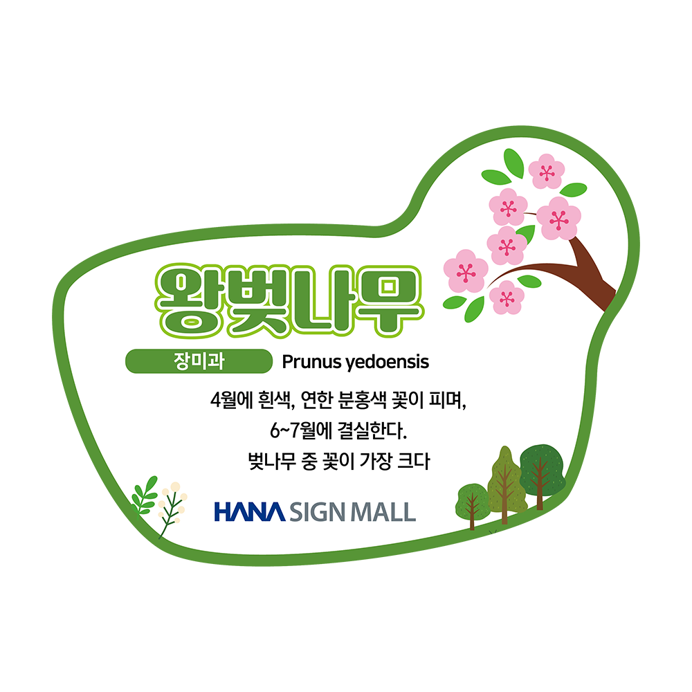 디자인선택