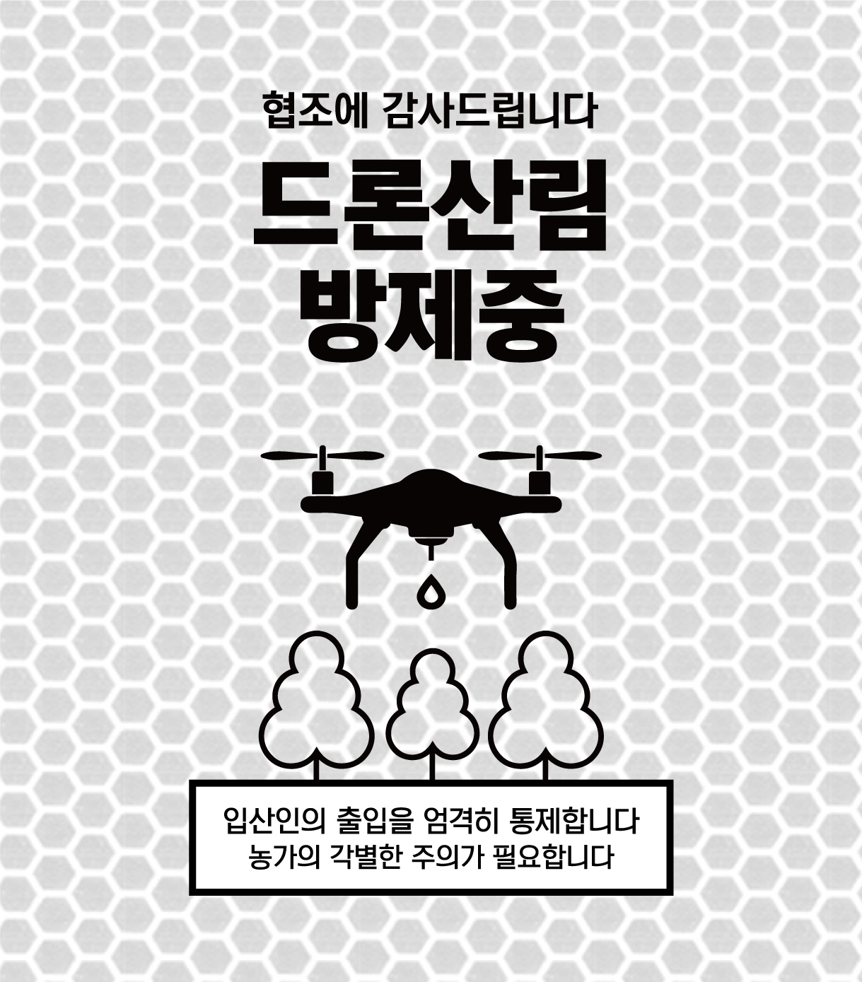디자인선택