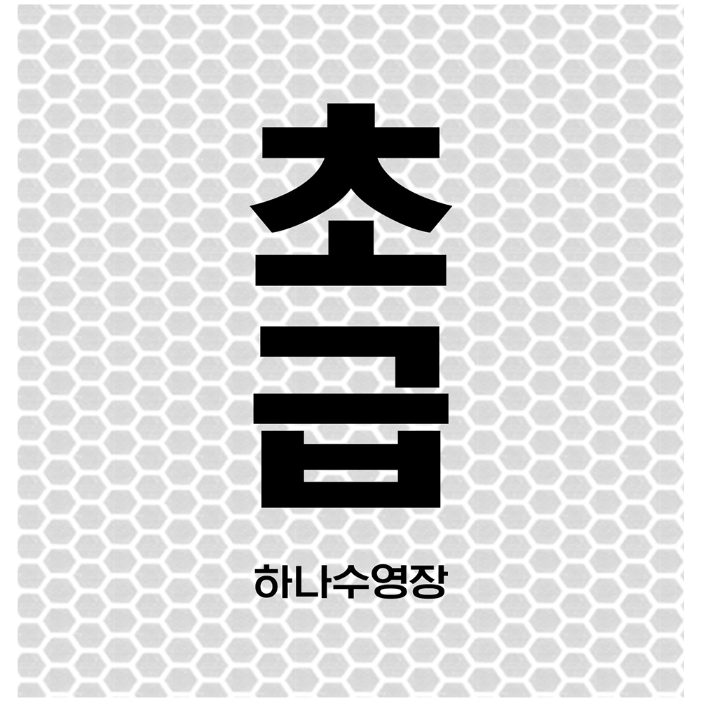 디자인선택