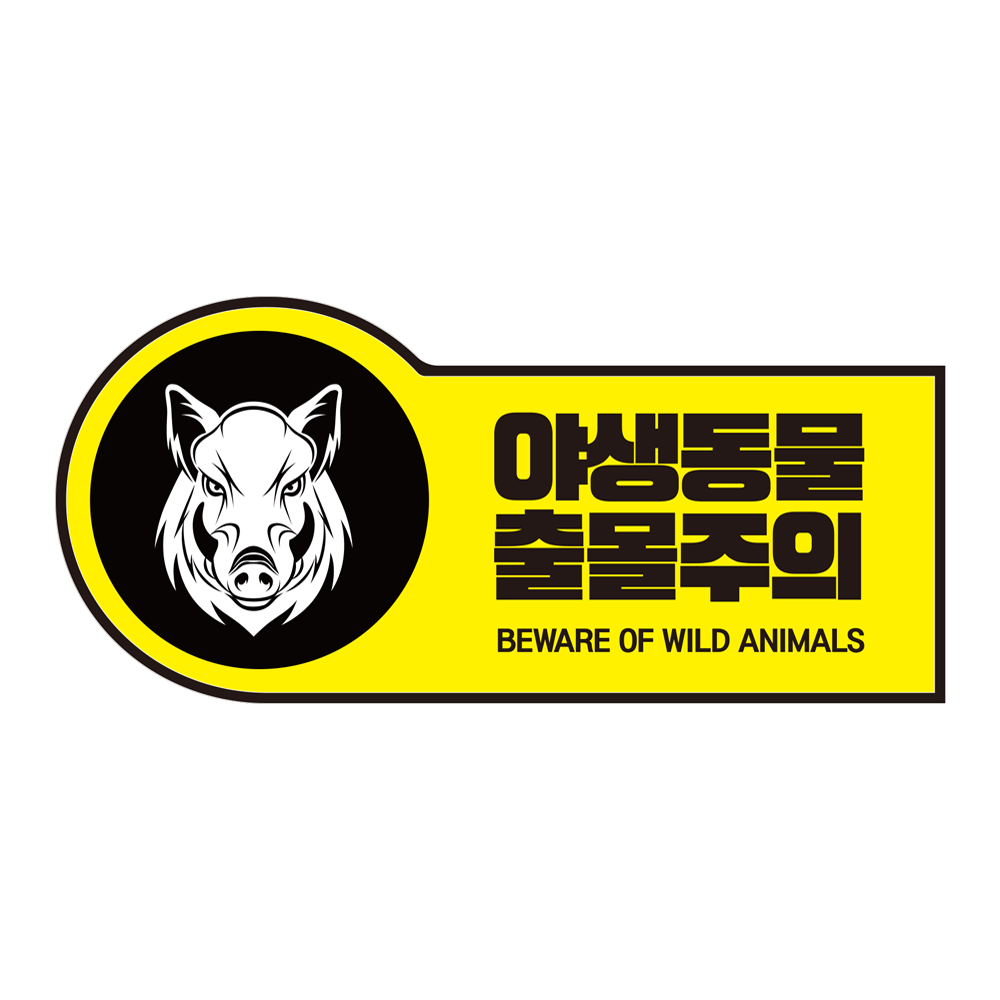 디자인선택