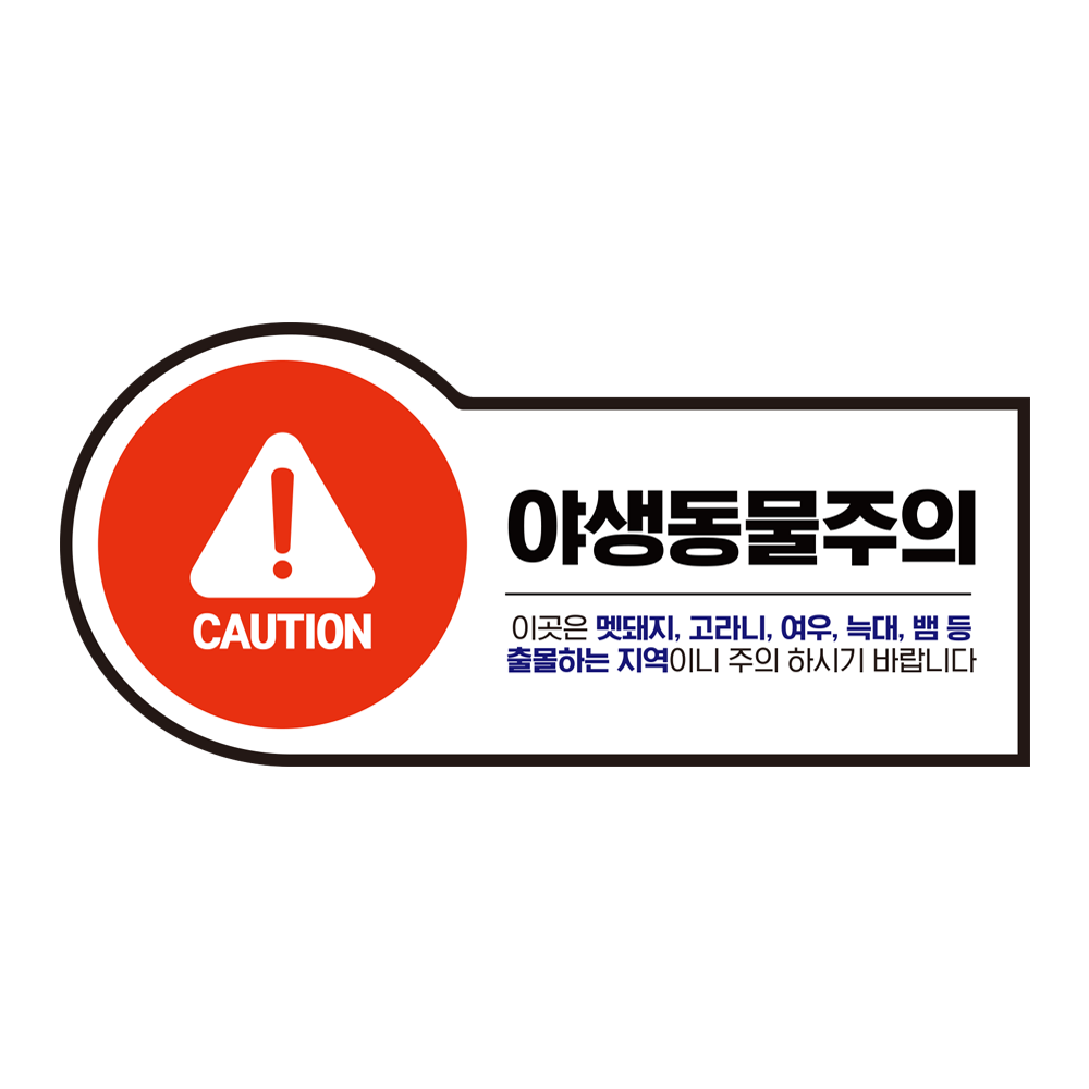 디자인선택