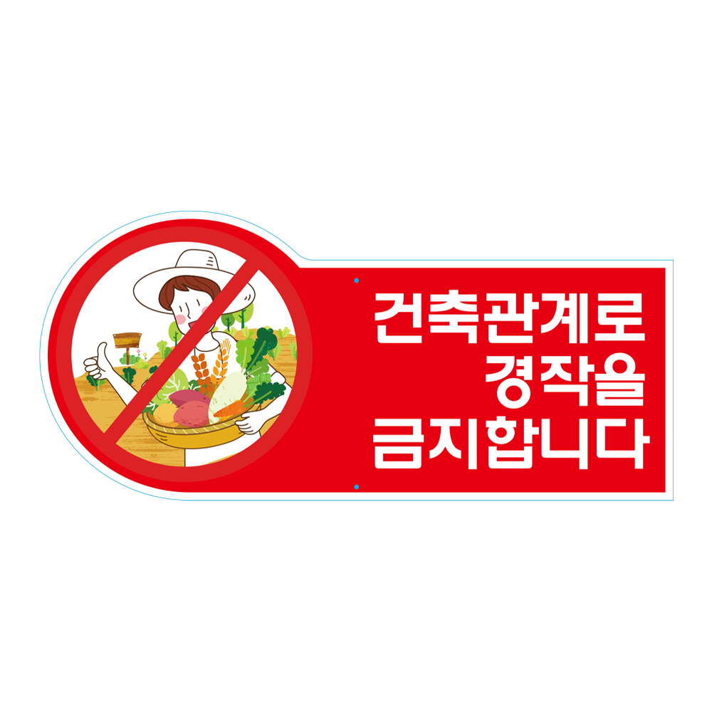 디자인선택