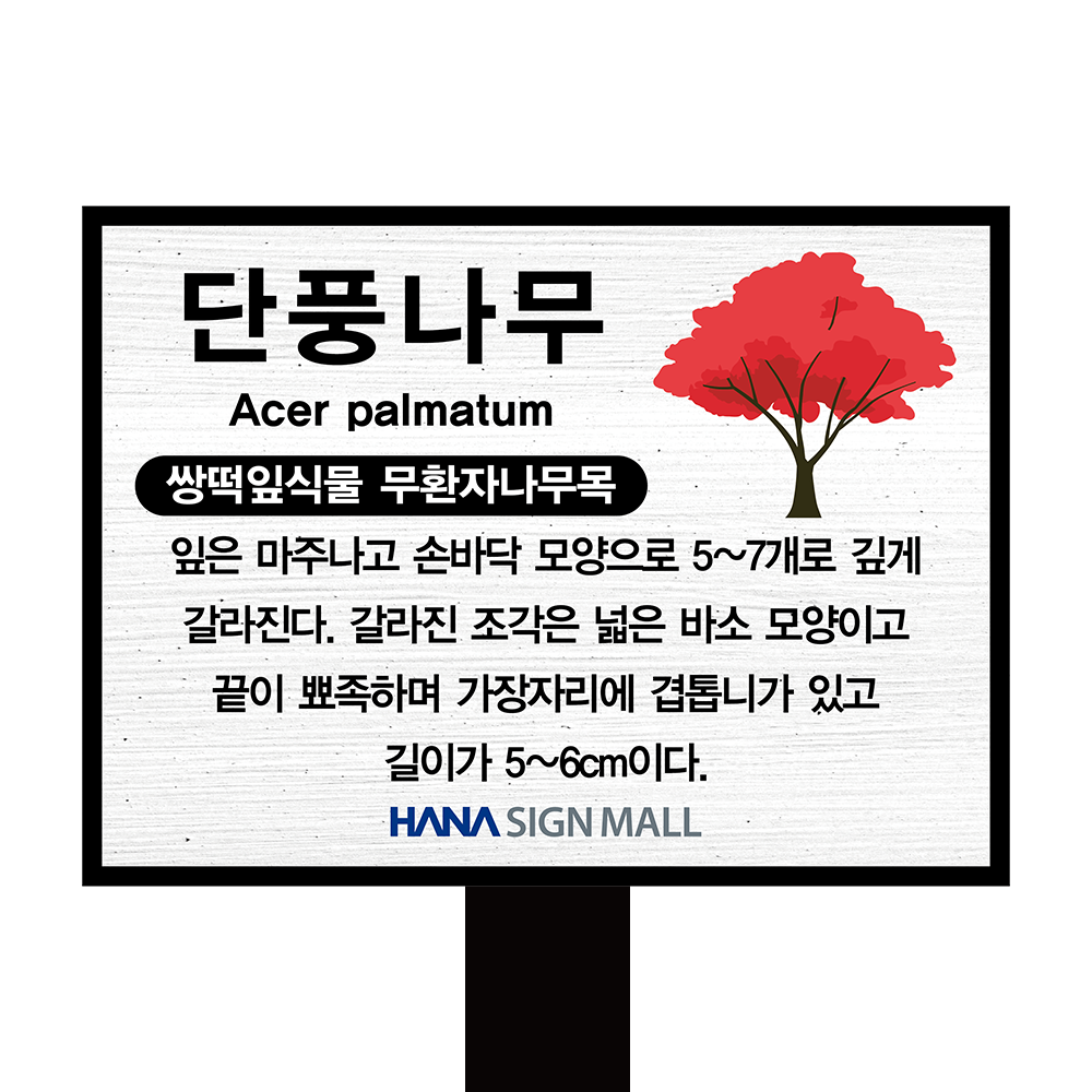 디자인선택