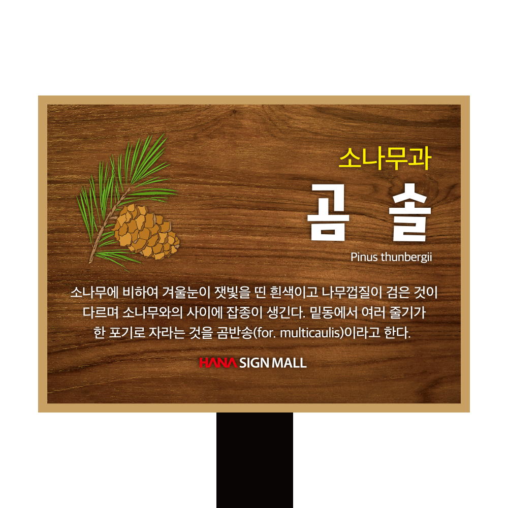 디자인선택