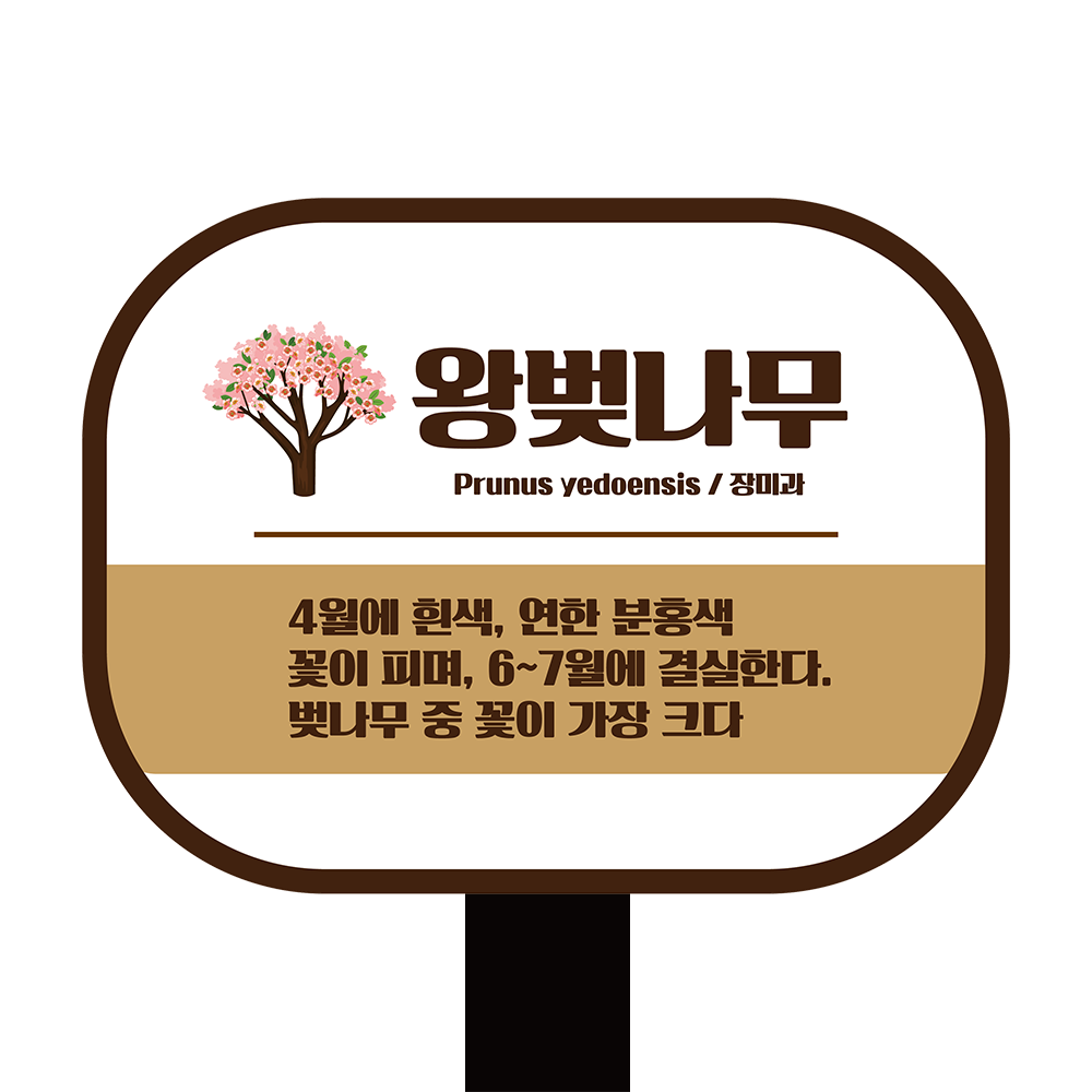 디자인선택