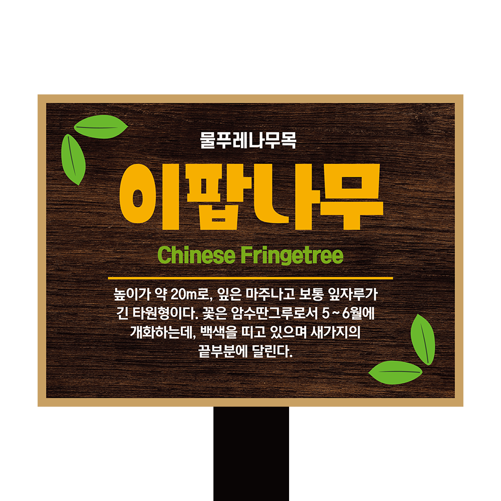 디자인선택