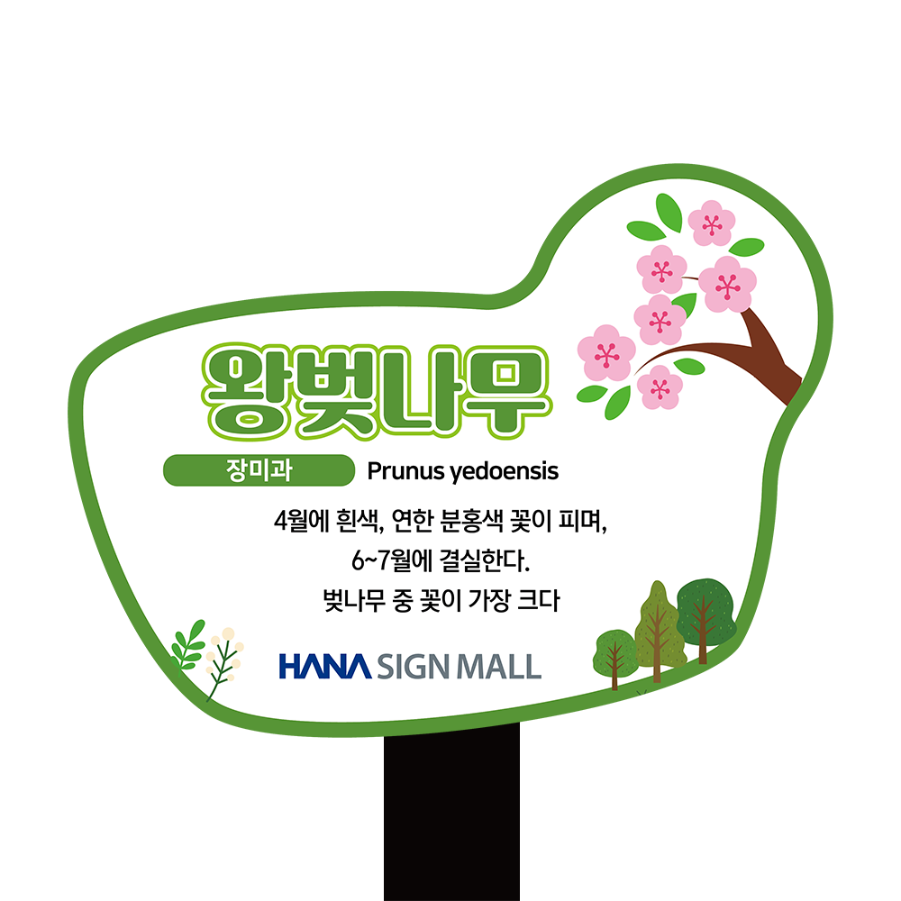 디자인선택