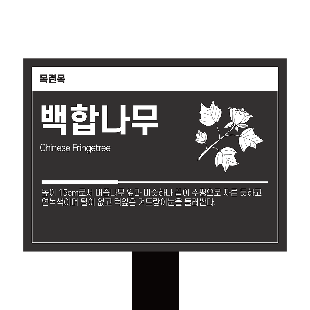 디자인선택