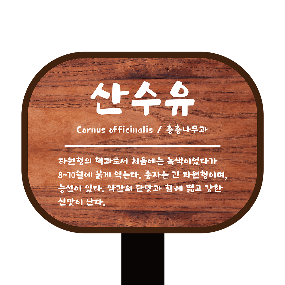 디자인선택