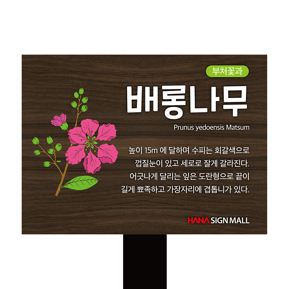 디자인선택