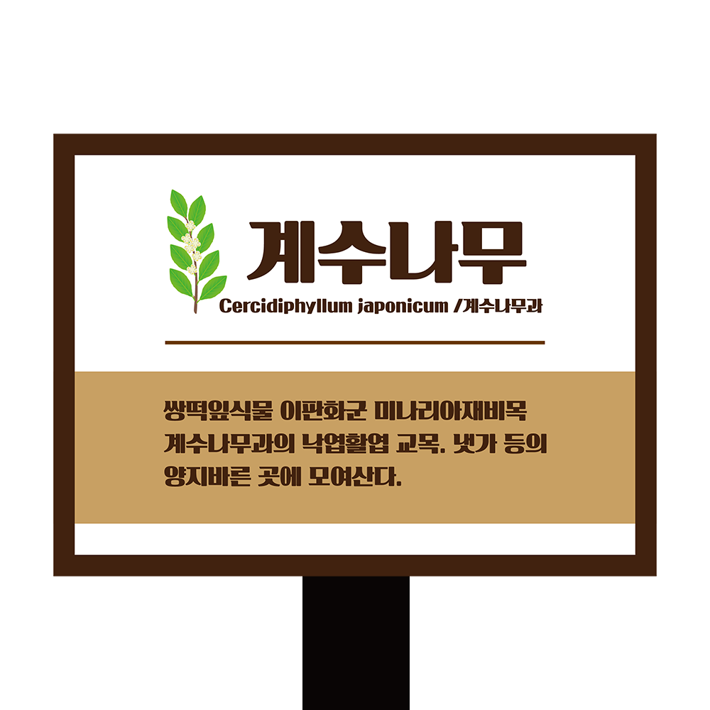 디자인선택