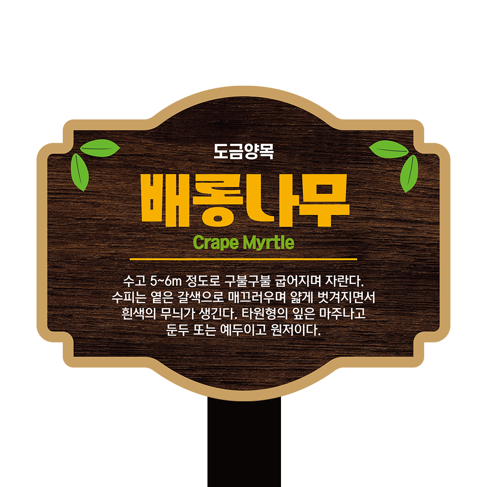 디자인선택