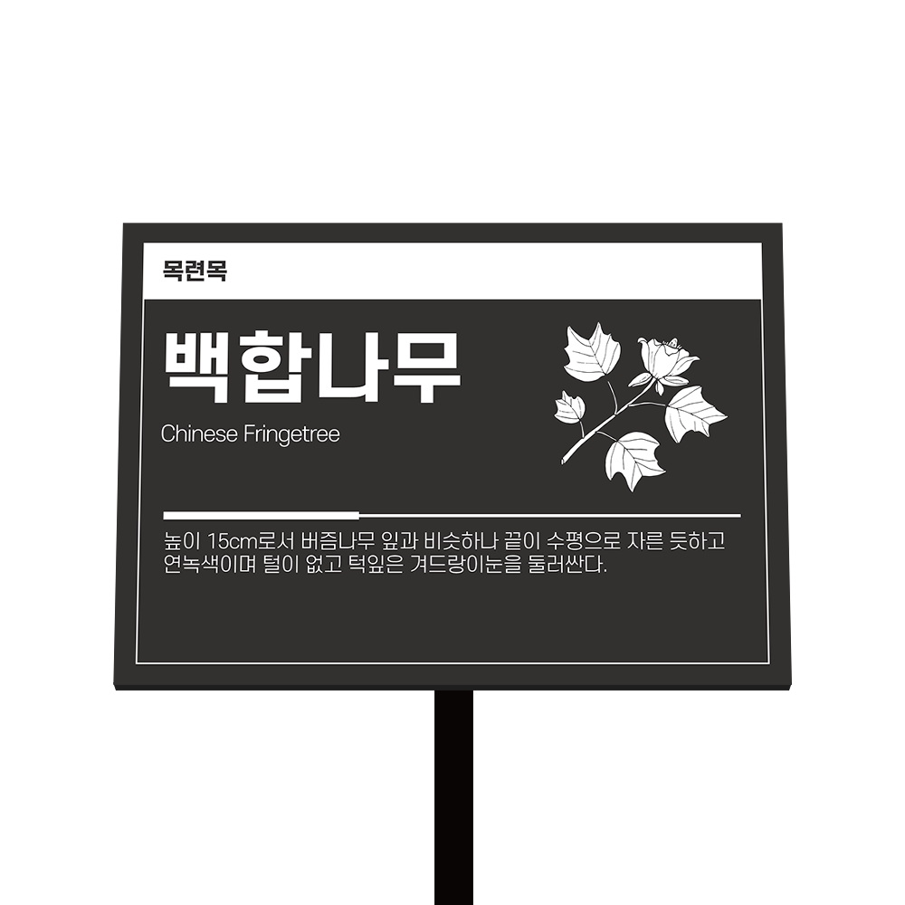 디자인선택