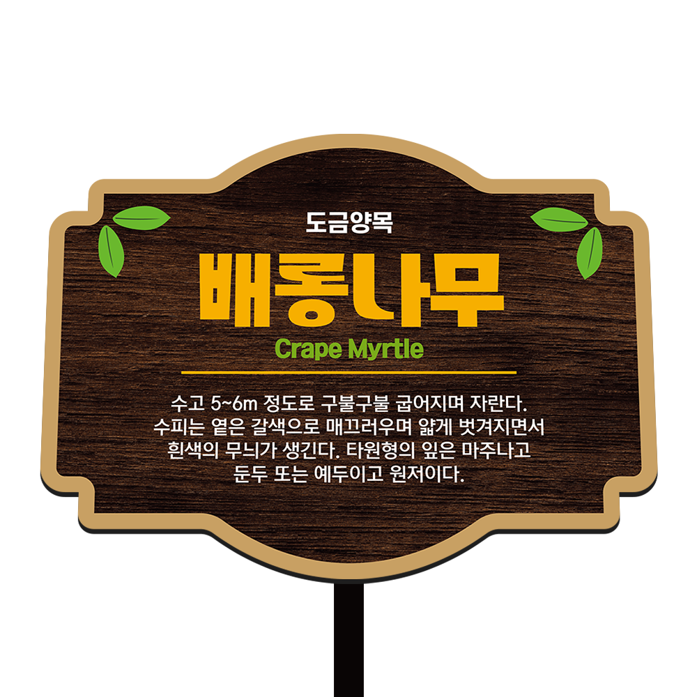 디자인선택