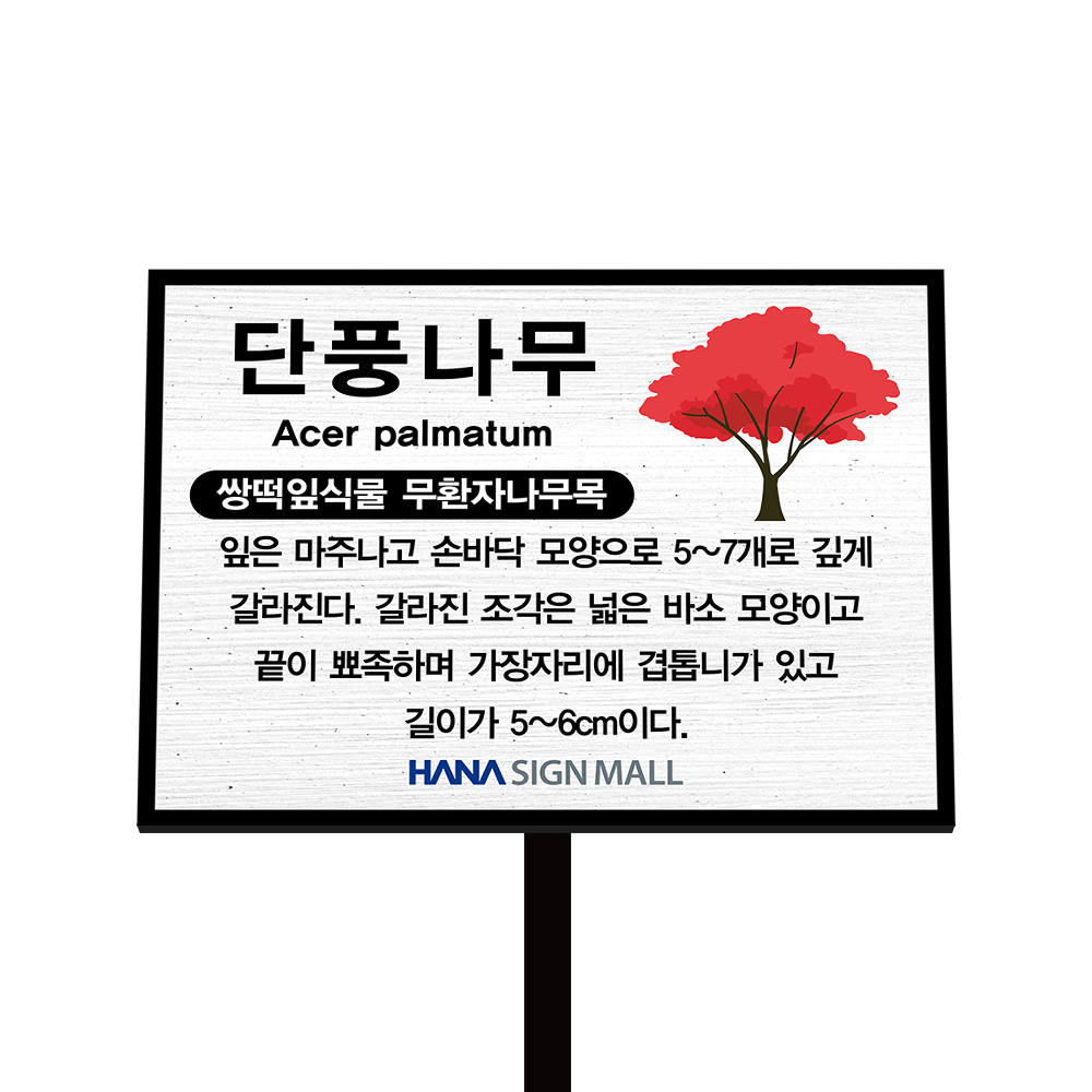 디자인선택