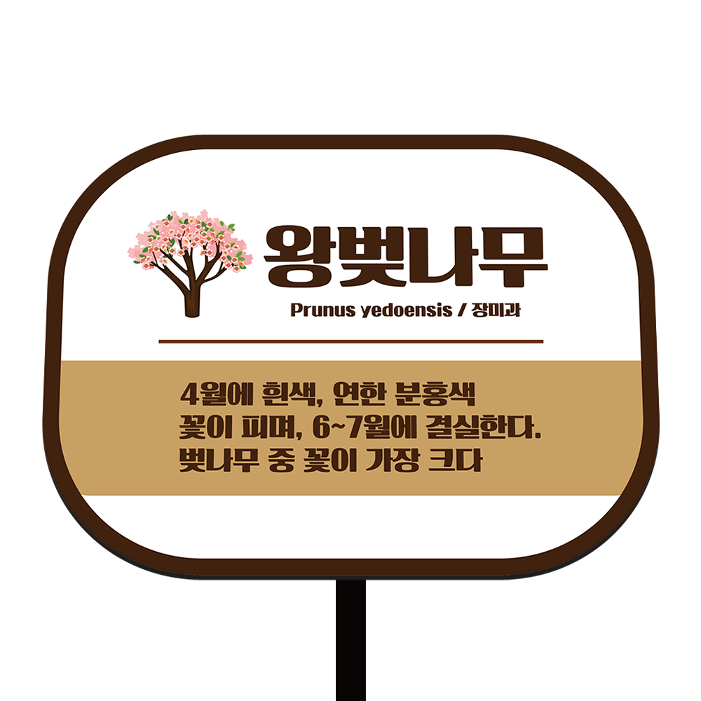 디자인선택