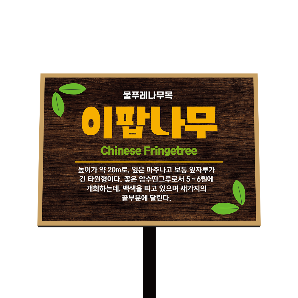 디자인선택