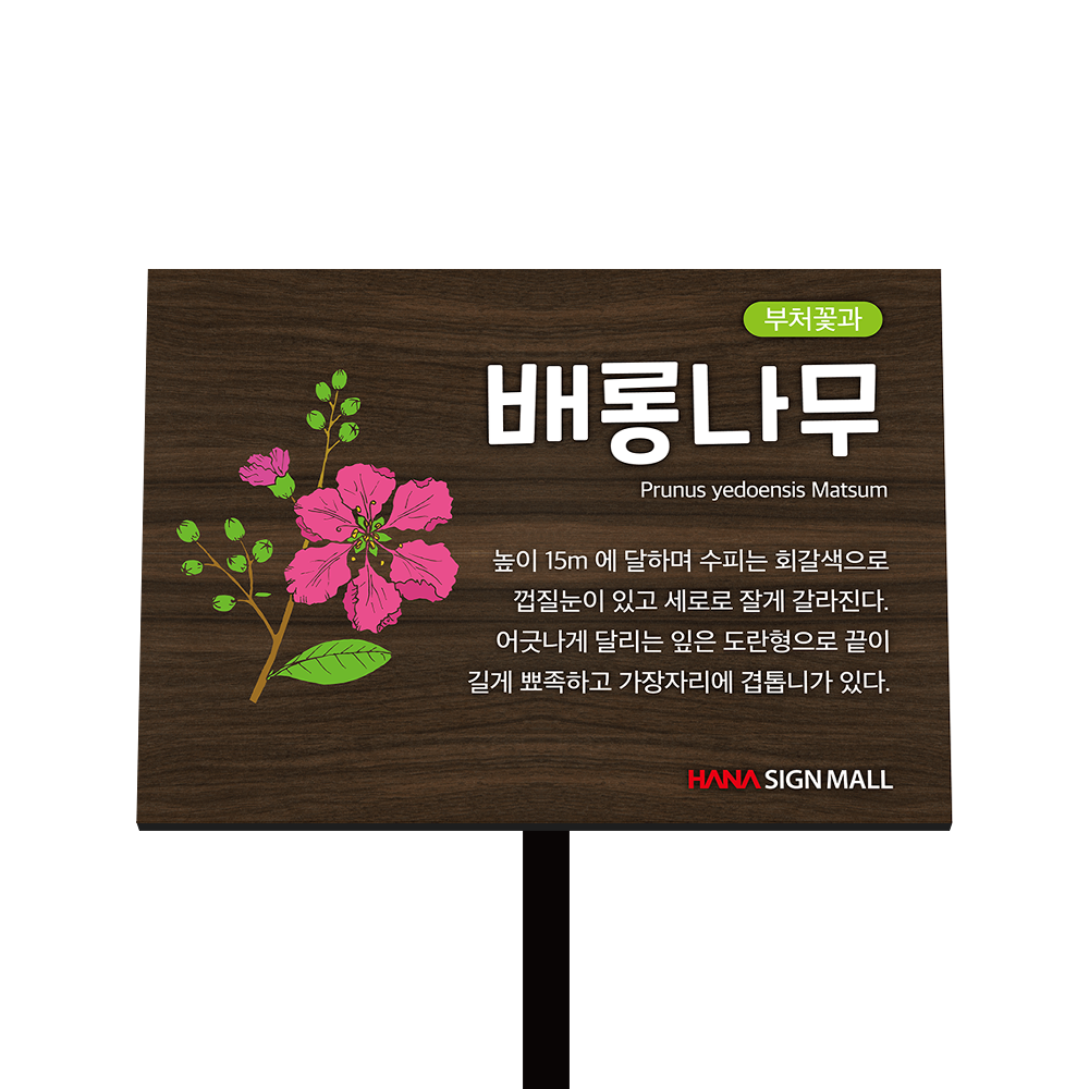 디자인선택