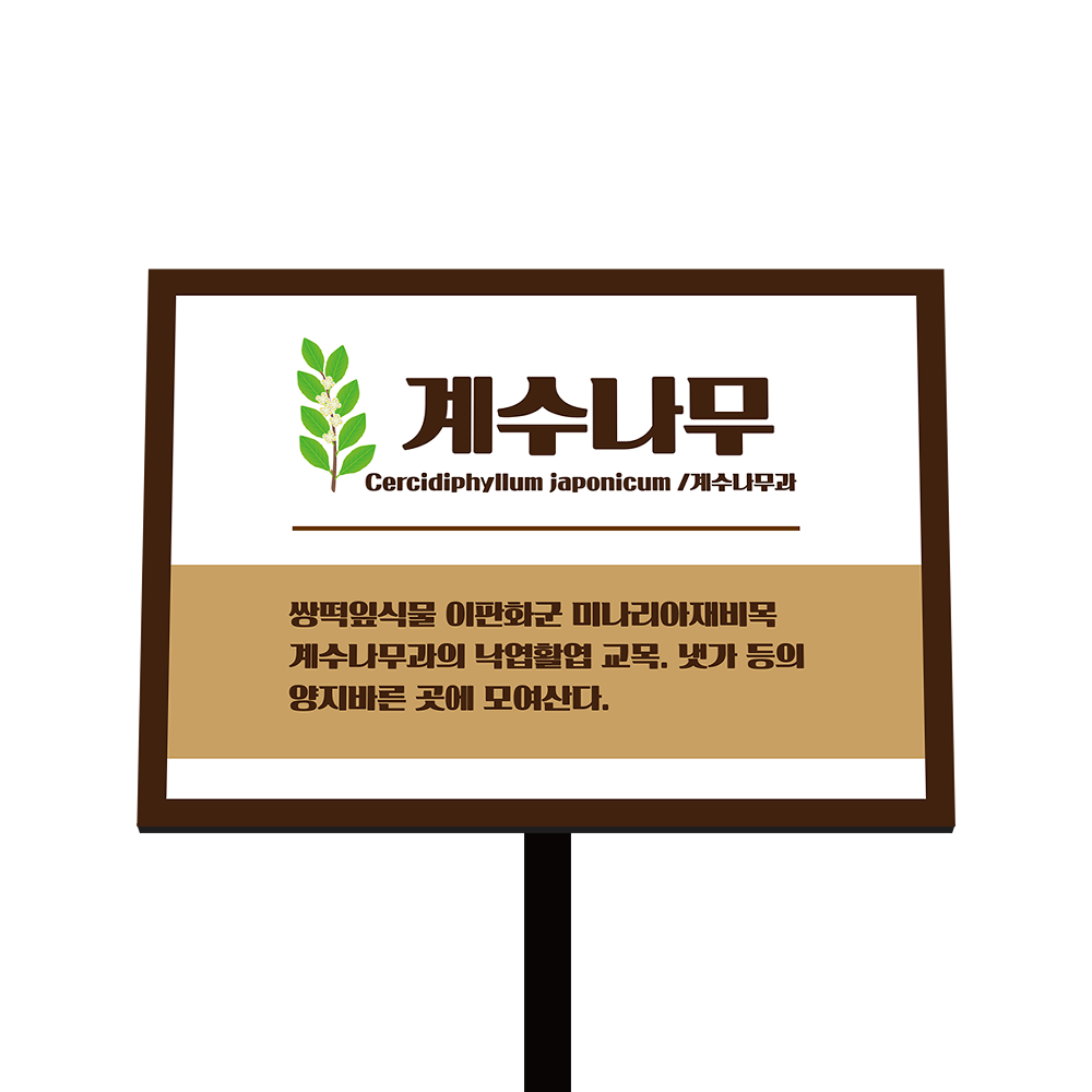 디자인선택