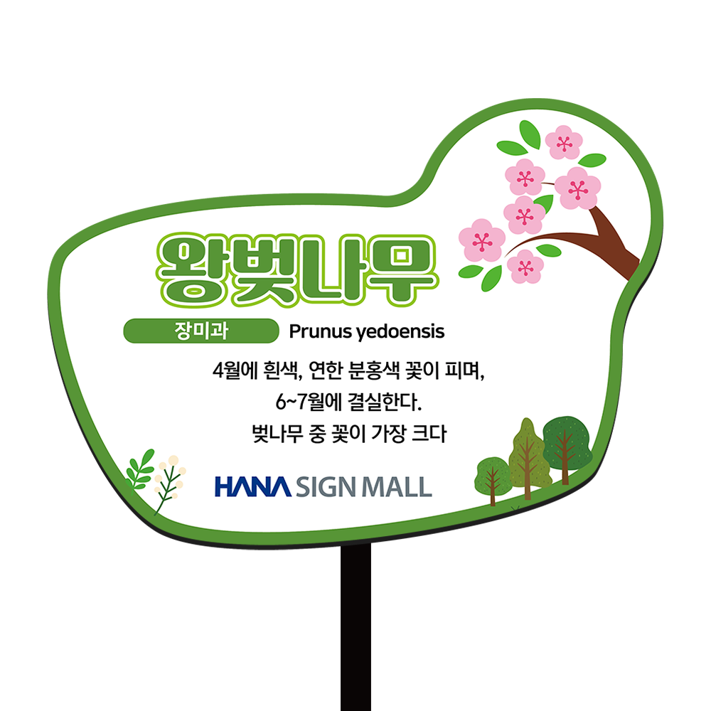 디자인선택