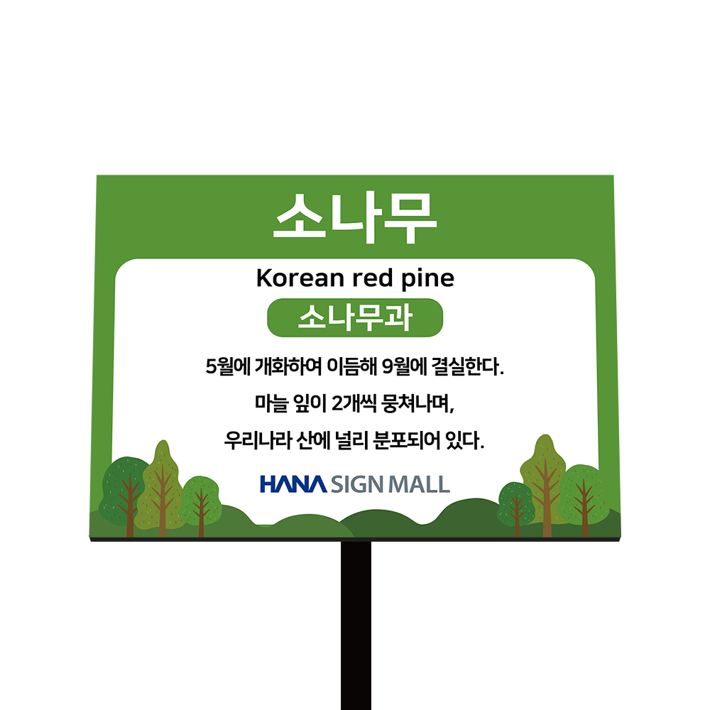 디자인선택