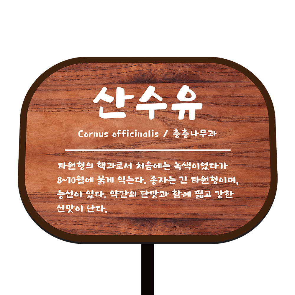 디자인선택