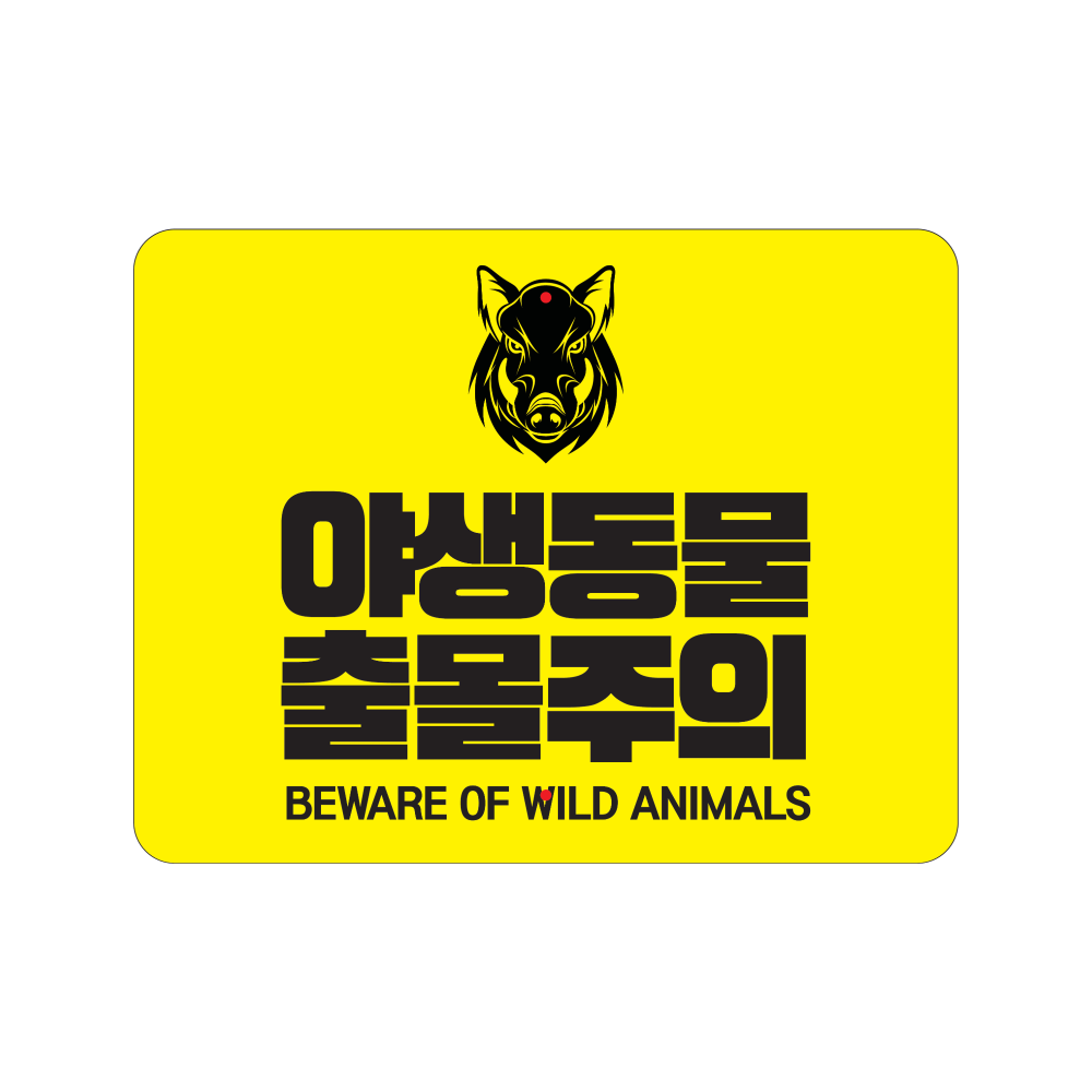디자인선택