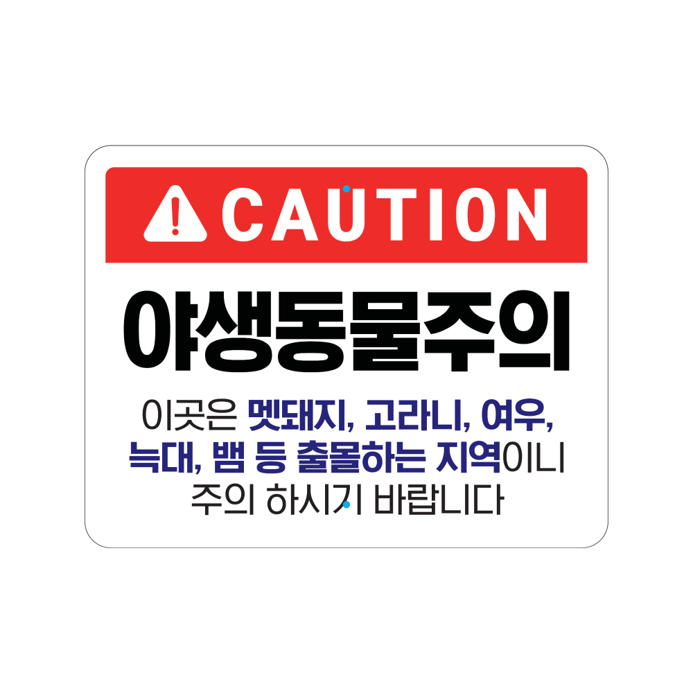 디자인선택