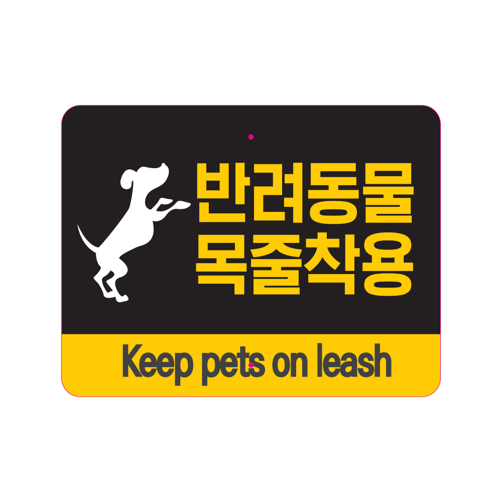 디자인선택