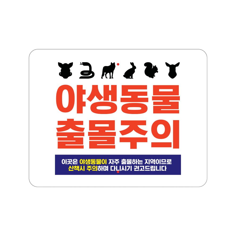 디자인선택